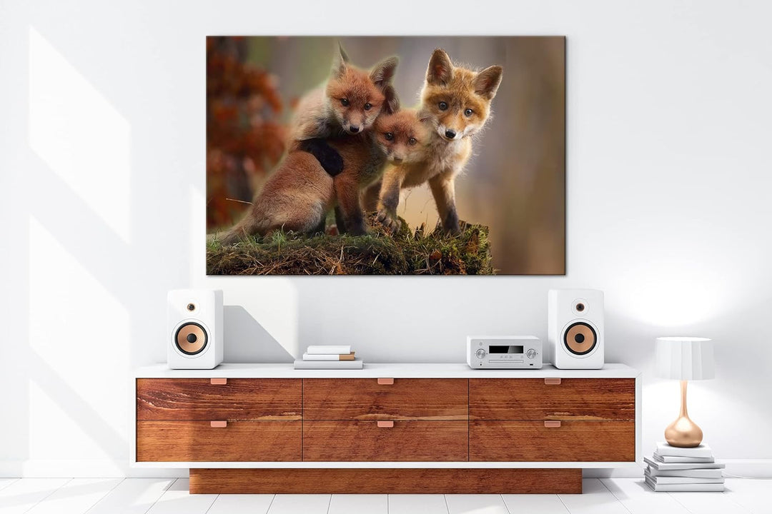 deyoli Kleine Familie von Rotfüchsen Format: 100x70 als Leinwand, Motiv fertig gerahmt auf Echtholzr