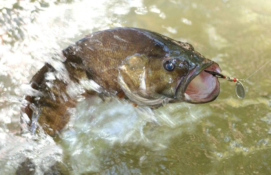 PLUSINNO Angelköder für Barsch, 16 Spinnerköder mit tragbarer Tragetasche, Barschköder, Forellenköde