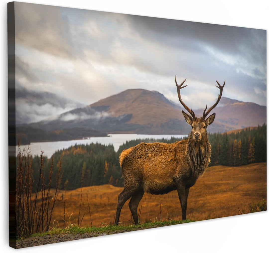 MuchoWow© Leinwände Gross 120x80 cm XXL Wall Decoration Bilder Schlafzimmer Deko Pictures Canvas Pai