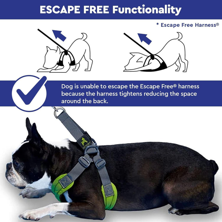 Gooby - Escape Free Easy Fit Hundegeschirr, kleines Hundegeschirr für Hunde, die ihrem Geschirr gern