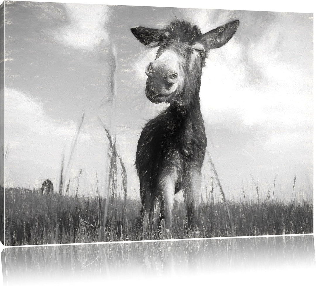 Pixxprint Esel im Feld als Leinwandbild/Grösse: 100x70 / Wandbild/Kunstdruck/fertig bespannt, 100x70