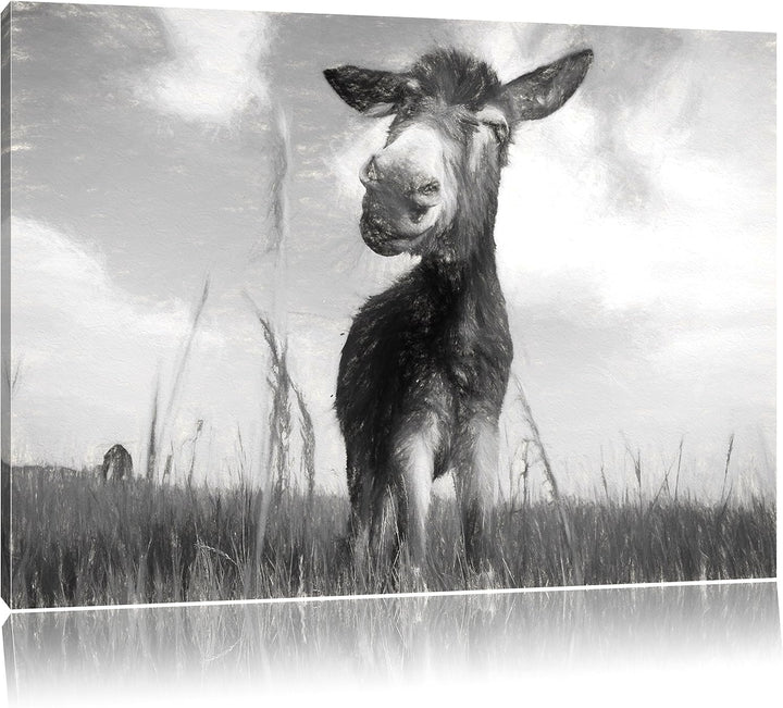 Pixxprint Esel im Feld als Leinwandbild/Grösse: 100x70 / Wandbild/Kunstdruck/fertig bespannt, 100x70