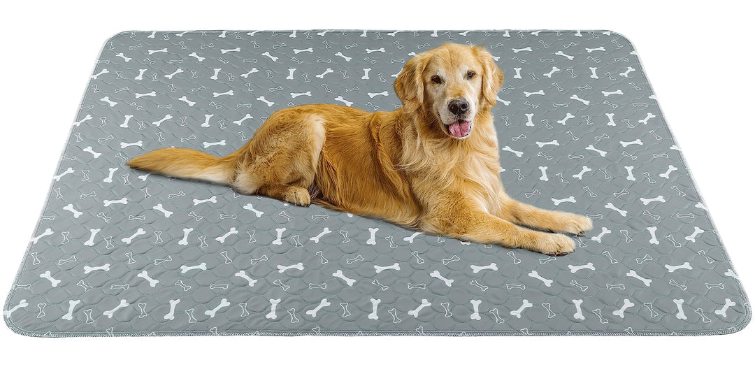 Baodan Waschbar Haustier-Urinunterlage, 2 Pack 120*90 cm Wiederverwendbare Welpenunterlagen Matte fü
