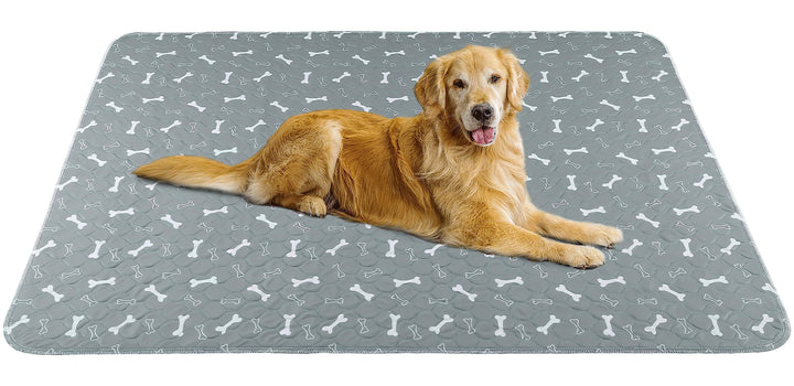 Baodan Waschbar Haustier-Urinunterlage, 2 Pack 120*90 cm Wiederverwendbare Welpenunterlagen Matte fü