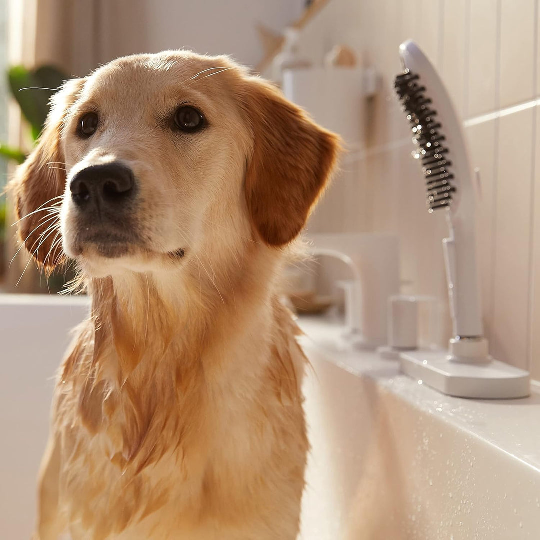 hansgrohe Hundedusche DogShower, Brause wassersparend mit 3 Strahlarten zur Fellpflege von Hunden un