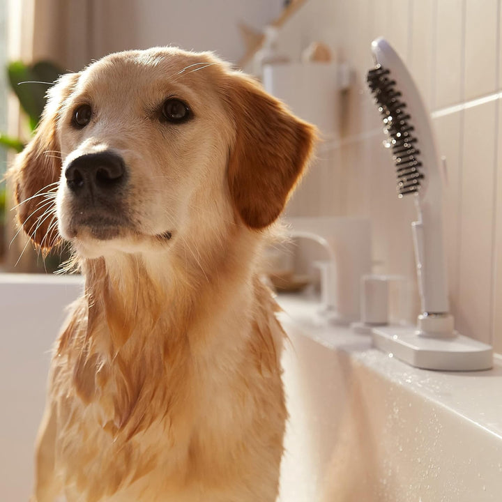 hansgrohe Hundedusche DogShower, Brause wassersparend mit 3 Strahlarten zur Fellpflege von Hunden un