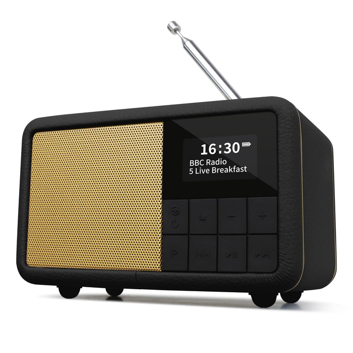 LEMEGA CR7 Tragbares Mini DAB+ Radio mit Bluetooth（Akku mit bis zu 12 Stunden Laufzeit,UKW,IPX4 wass