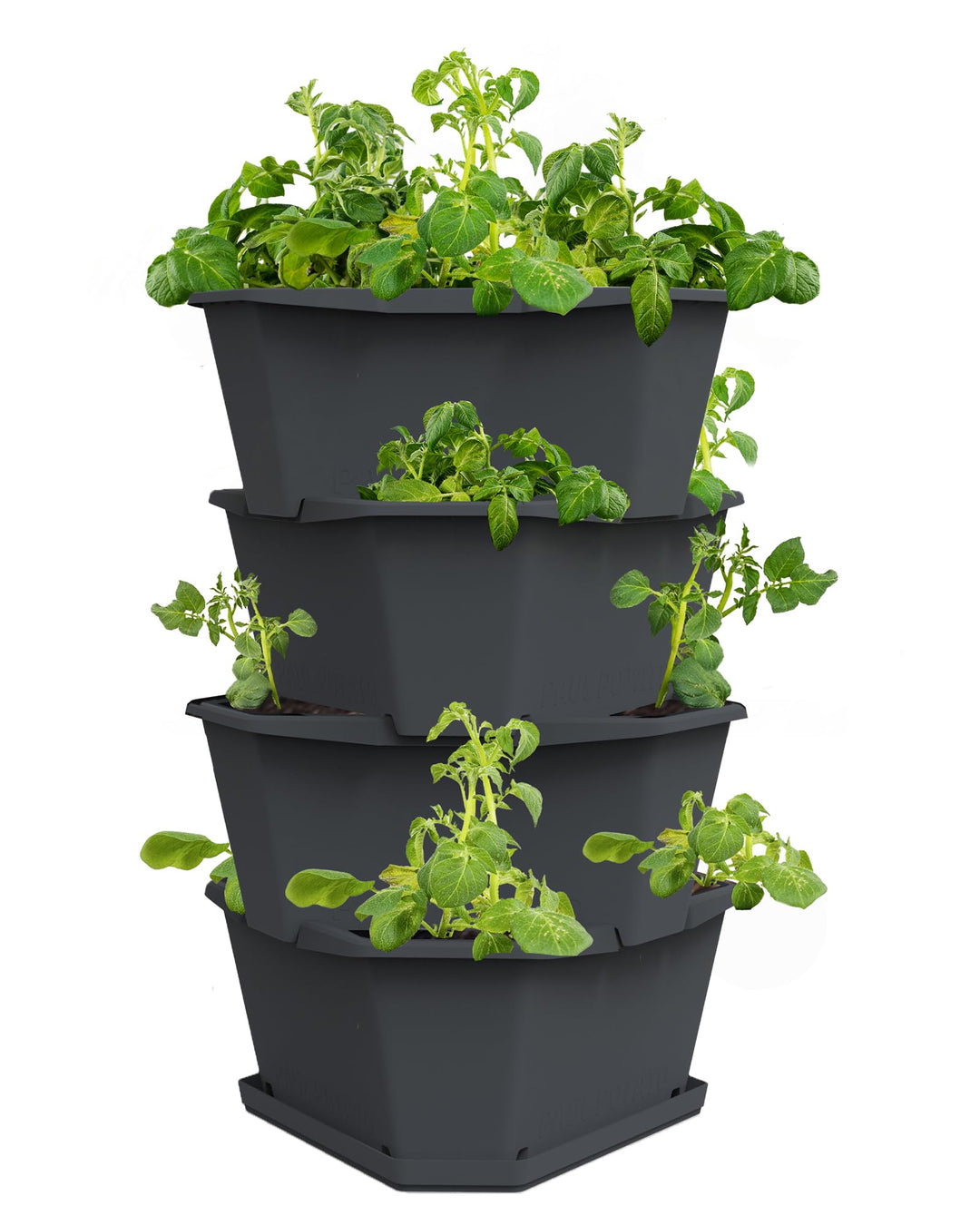 GUSTA GARDEN Paul Potato Starter Kartoffelturm - stapelbar - Hochbeet/Pflanzgefäss/Blumentopf für Ba
