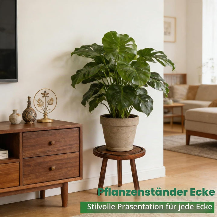 Rainmae Blumenständer 3er Set Ø28/23/20cm Pflanzenständer Pflanzenregal Holz Rund, Stabil & Dekorati