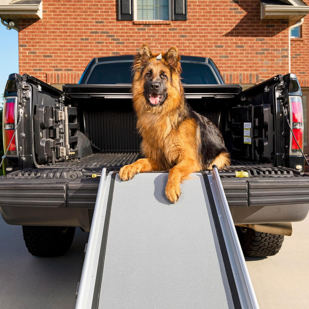 PetSafe Happy Ride Teleskop-Hunderampe, Leichteres Ein- und Aussteigen für Hunde, Rutschfest, XL, Bi