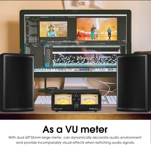 Dual Analog VU Meter Audio-Umschalter 2-Wege Verstärker/Lautsprecher Audio Switcher Box Amp Selector