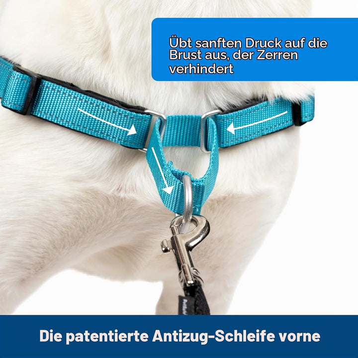 PetSafe Deluxe Easy Walk Hundegeschirr Stahlgrau / Schwarz Medium/Large, Stahlgrau / Schwarz Medium/