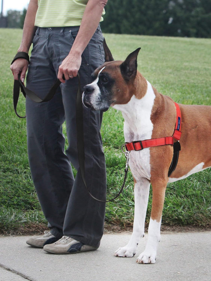 PetSafe Deluxe Easy Walk Hundegeschirr Orange/Schwarz Medium/Large, Orange/Schwarz Medium/Large
