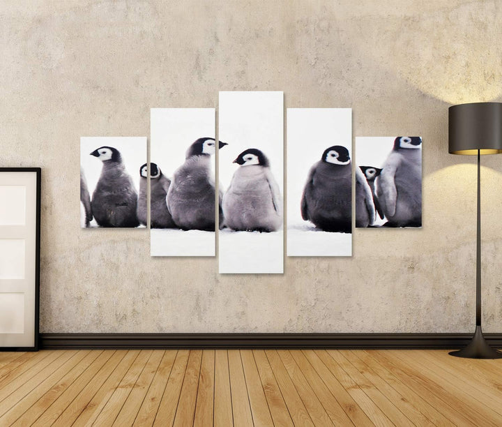 islandburner Bild auf Leinwand Junge Pinguine Baby Junge Pinguine Baby Eissonne Bilder Wandbilder Po