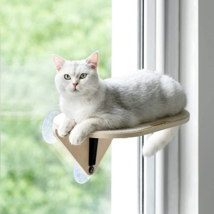 EDAGNY Katzenfenstersitzstange, Katzenkratzbaum und Katzenplattform mit starken Saugnäpfen für Hausk