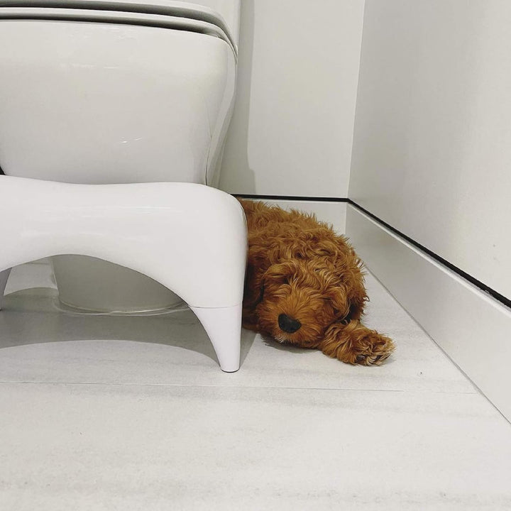 TUSHY Ottomane: Hockender Toilettenhocker, Kniebeugenposition hilft, die Darmgesundheit zu verbesser