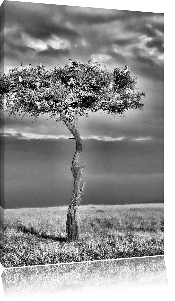 Pixxprint Monocrome, beeindruckender Geierschwarm in der Savanne, Format: 100x70 auf Leinwand, XXL r