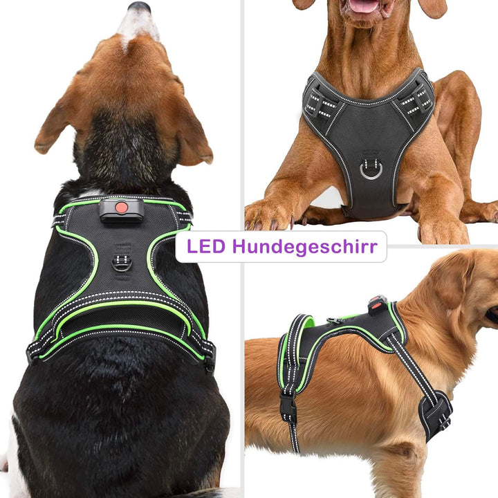 Hundegeschirr Leuchtend Wiederaufladbares Leuchtgeschirr für Hunde Led Beleuchtetes Hundegeschirr fü