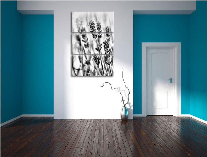 Pixxprint Lavendel als Leinwandbild/Grösse: 3 Teilig (120x80) cm/Wandbild/Kunstdruck/fertig bespannt
