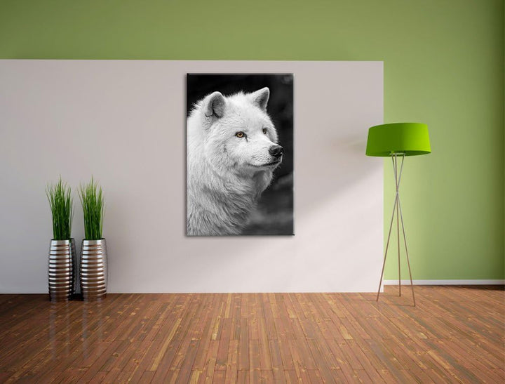 prächtiger Polarwolf schwarz/weiss auf Leinwand, XXL riesige Bilder fertig gerahmt mit Keilrahmen, K