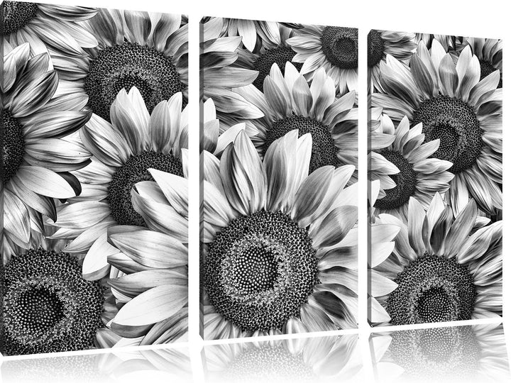 Pixxprint Sonnenblumentraum als Leinwandbild/Grösse: 3 Teilig (120x80) cm/Wandbild/Kunstdruck/fertig