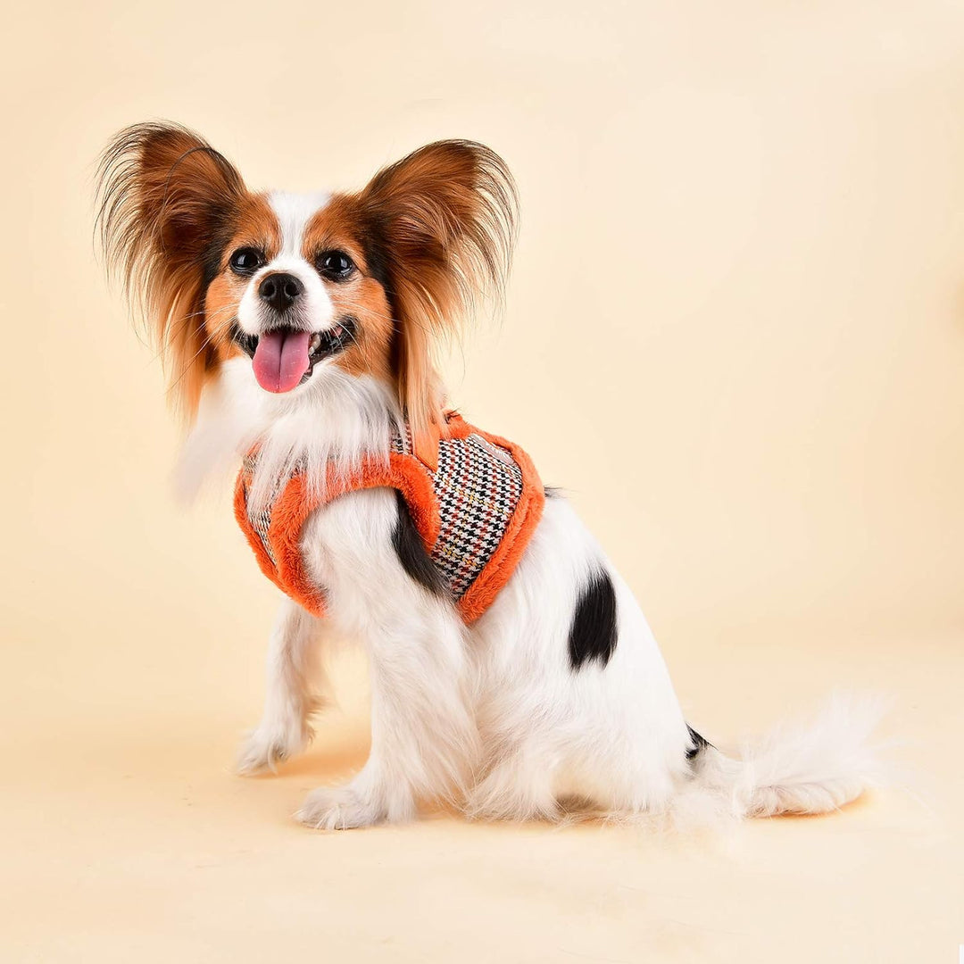 Puppia 66987764 Auden Harness B, Orange, S Orange Small, Orange Small