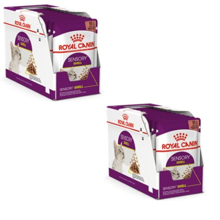 Royal Canin Sensory Smell Jelly | Doppelpack | 2 x 12 x 85 g | Nassfutter für ausgewachsene Katzen |