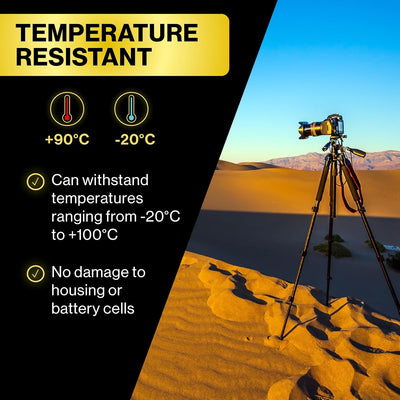 PATONA (2X) Protect V1 DMW-BLC12 E Akku (1100mAh) mit NTC-Sensor und V1 Gehäuse 2x DMW-BLC12 Protect
