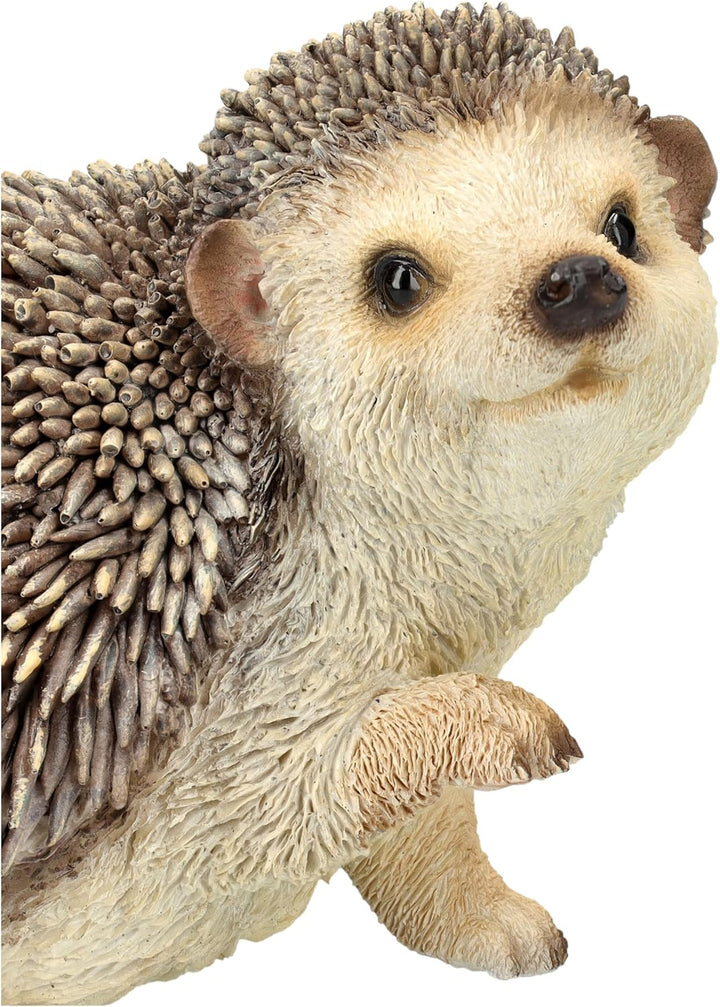 Gartenfigur Igel hebt rechte Pfote – Lebensechte Igelfigur von HotAnt, 13 cm Breite, wetterfest & ha