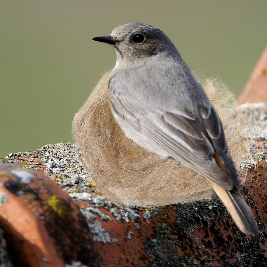 1Packung Vogelnest Natürliches Vogelnest-Material aus Jute und Seide für Nestbau und Verstecke Geeig