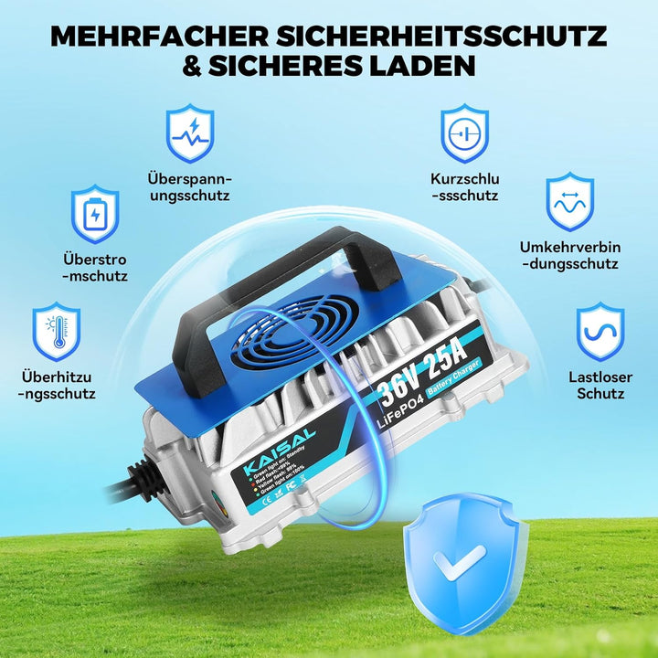KAISAL 43.8V 25A LiFePO4 Ladegerät für 36V (38.4V) LiFePO4 Lithium-Eisenphosphat-Batterien, 36V Lith