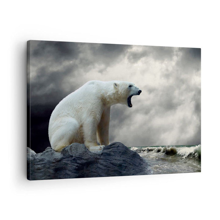 Bilder auf Leinwand Bär Tiere Wasser Eis Leinwandbild mit Rahmen 70x50cm Wandbilder Dekoration Wohnz
