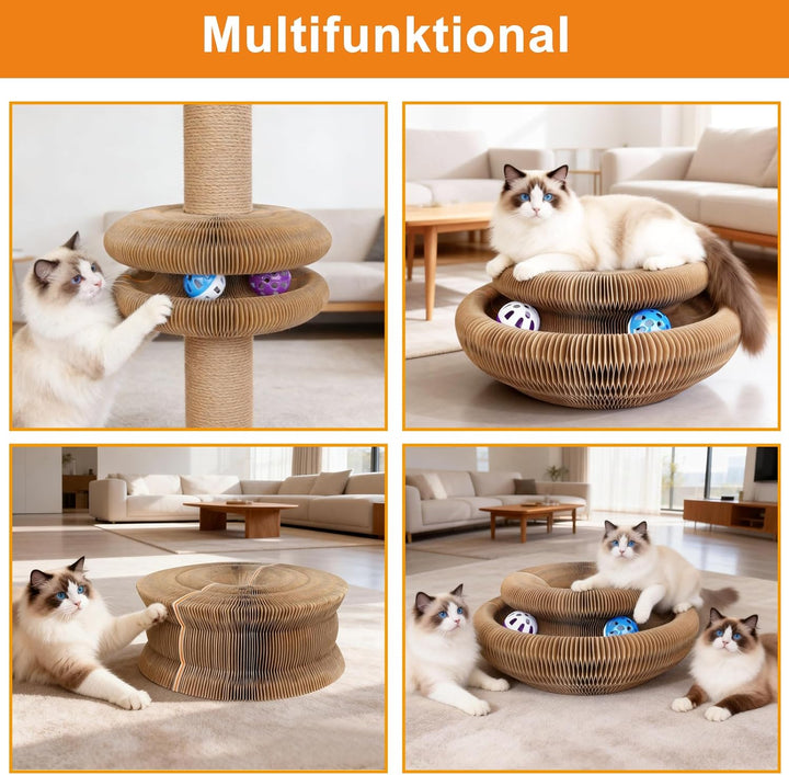Kratzbrett Katze, 2-in-1 Cat Kratzbrett mit Glöckchen, Magische Orgel Cat Scratching Board, Zusammen