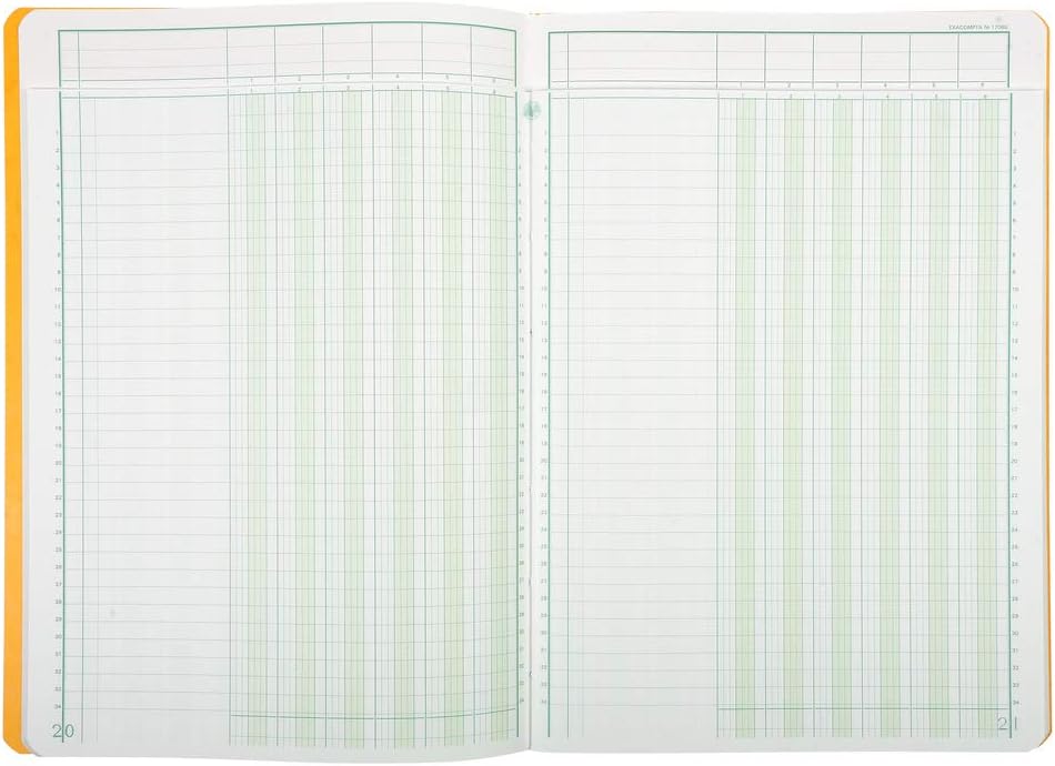 Exacompta 17060E Mehrkolonnenheft (DIN A4, 21 x 29,7 cm, gebunden mit 6 spalten auf 1 Seite und 34 Z