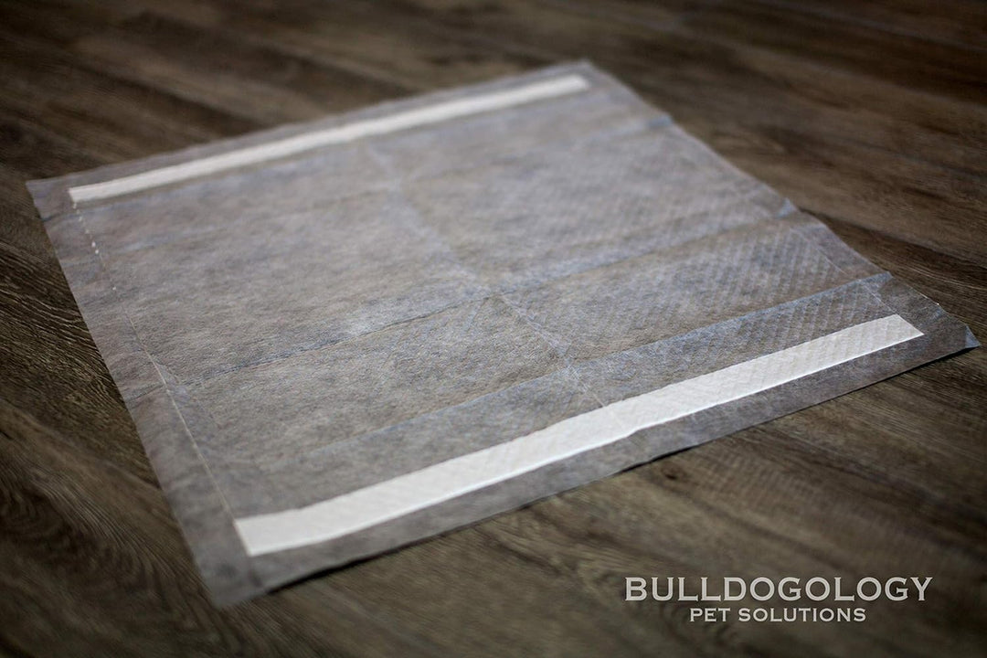 Bulldoglogy Welpen-Pads mit Klebeband, Carbonschwarz, gross, anthrazit, für das Training von Hunden,
