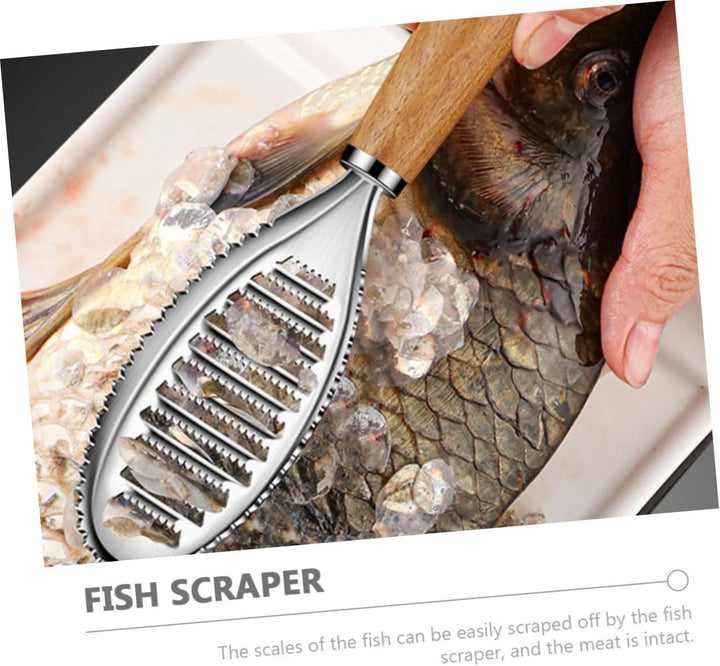Cabilock Glasschaber Fisch Pinzette Fisch Pinzette Fischschuppe Fischentschupper Fischschuppenschabe