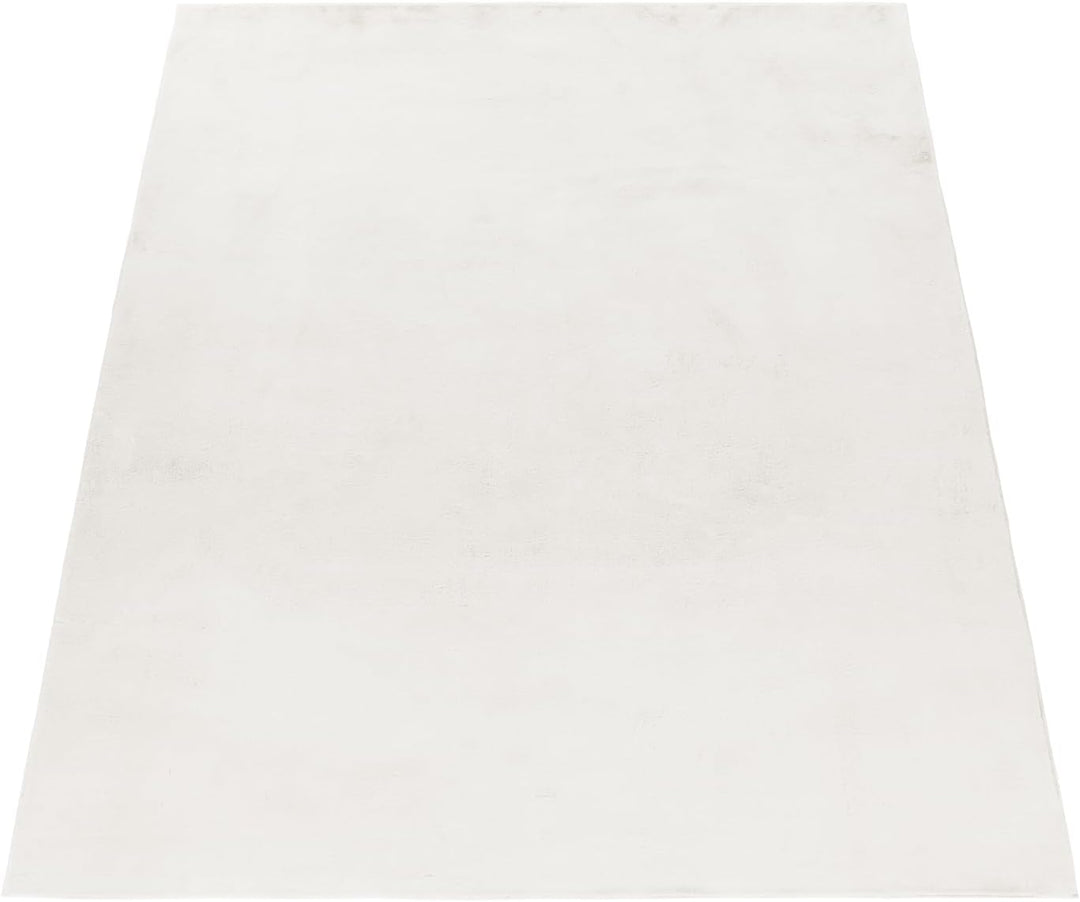 Carpetsale24 Teppich Wohnzimmer Einfarbig Modern Design 160 x 230 cm Creme - Hochflor Teppich Schlaf