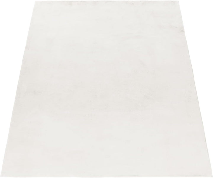Carpetsale24 Teppich Wohnzimmer Einfarbig Modern Design 160 x 230 cm Creme - Hochflor Teppich Schlaf