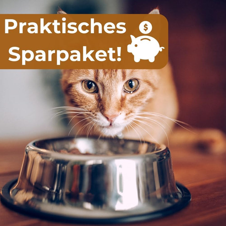 2er Set Automatischer Futterspender Wasserspender 2in1 Futterautomat Wasserautomat für Hunde Katzen