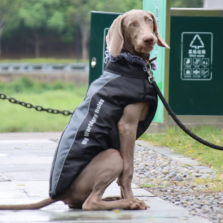 Hundejacke mit Geschirr,Gefütterte Hunde Winterjacke mit Leine wasserdichte Hunde-Winterjacke Wasser