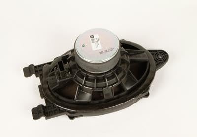GM ACDelco 13264617 Original Equipment 15,2 x 22,9 cm Heckradio Oval Woofer Lautsprecher