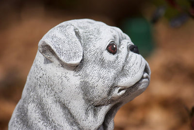 stoneandstyle Steinfigur Hund Mops, Frost- und Wetterfest, massiver Steinguss