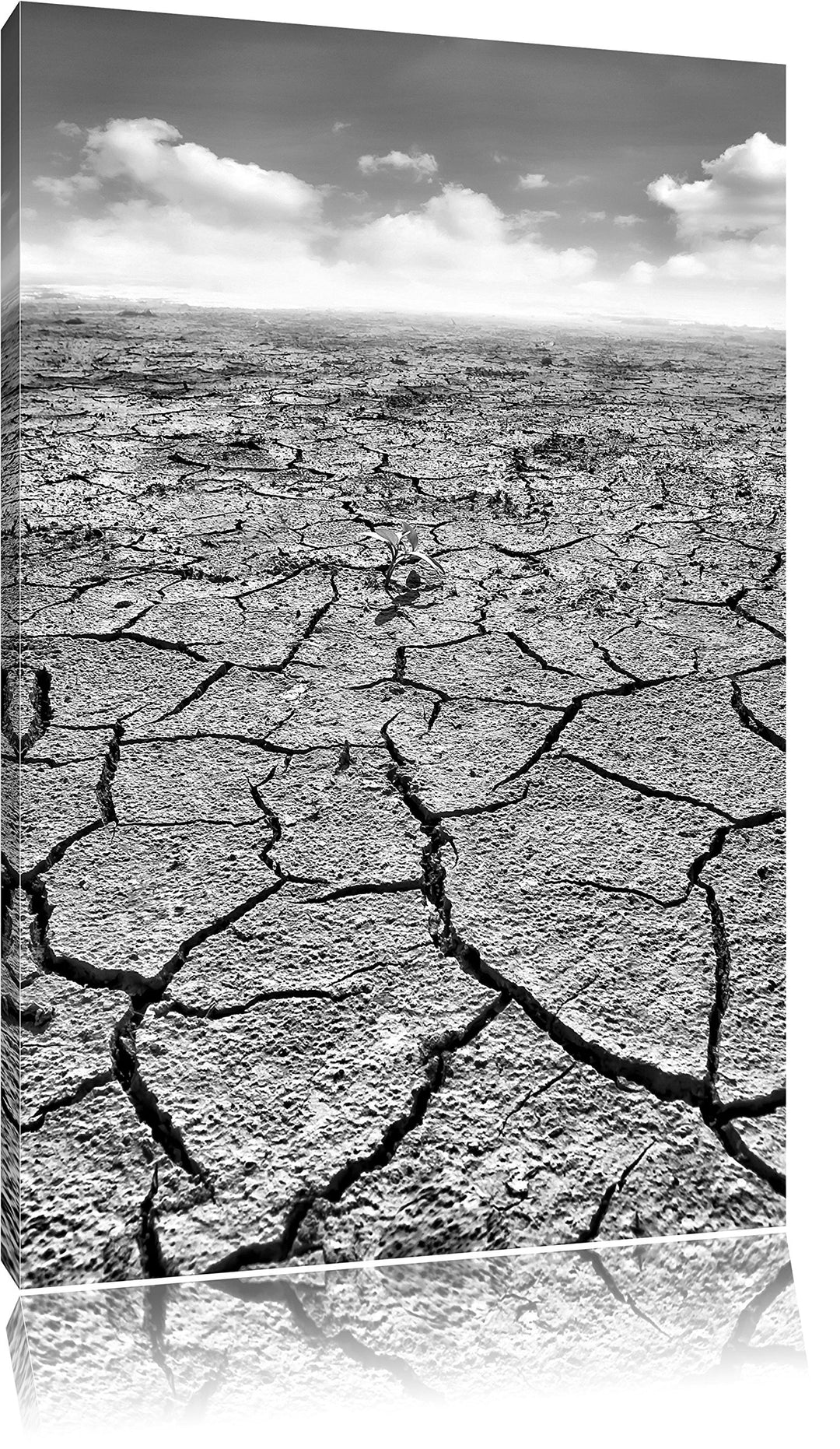 Pixxprint Monocrome, Rissiger Wüstenboden, Format: 100x70 auf Leinwand, 100x70