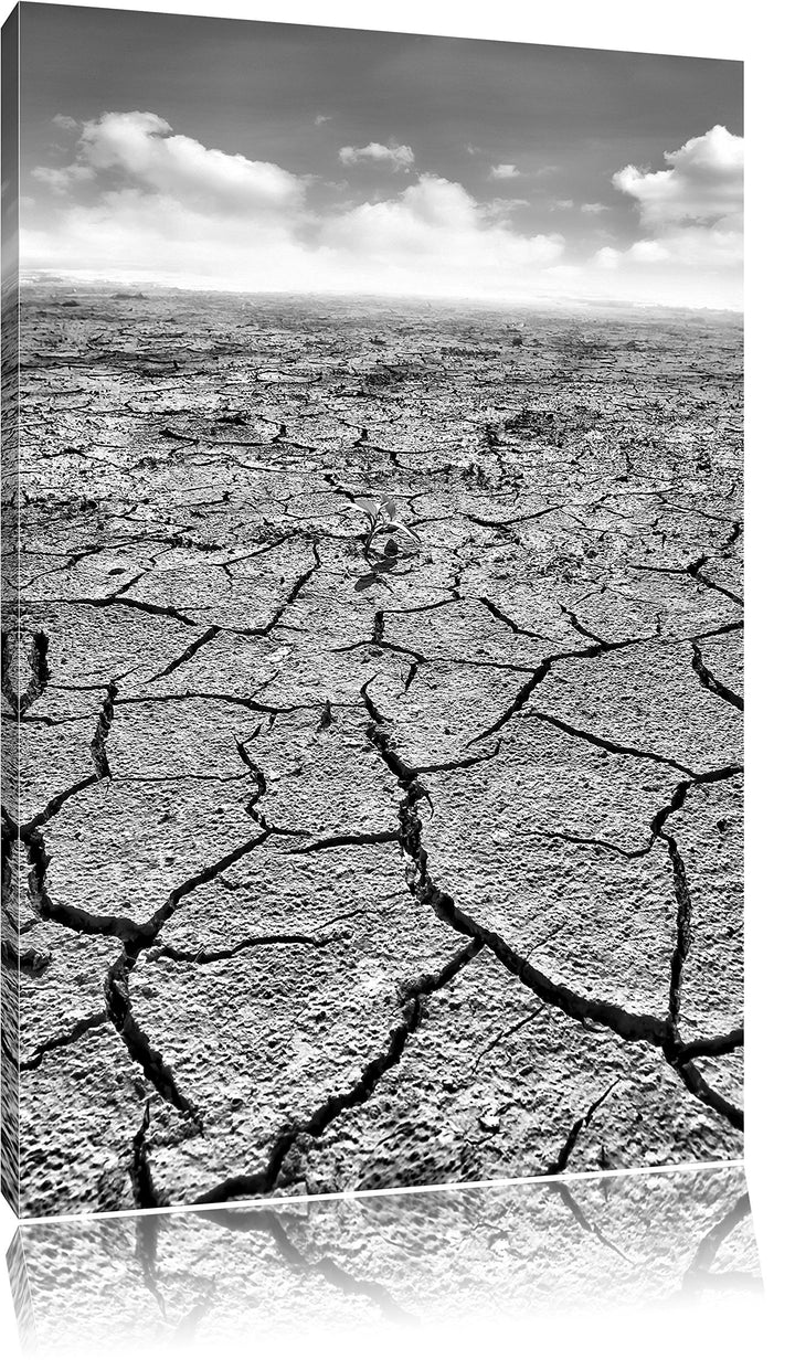 Pixxprint Monocrome, Rissiger Wüstenboden, Format: 100x70 auf Leinwand, 100x70