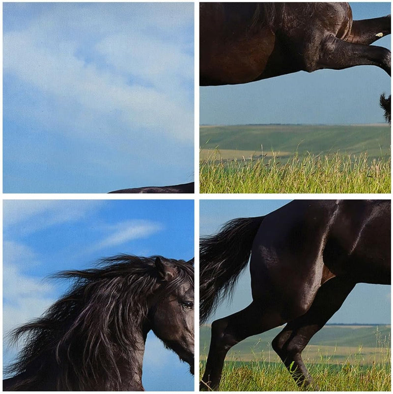 Wandbilder Dekoration Wohnzimmer Schwarzes Pferd Pferd Galopp Panorama Bilder auf Leinwand 120x50cm