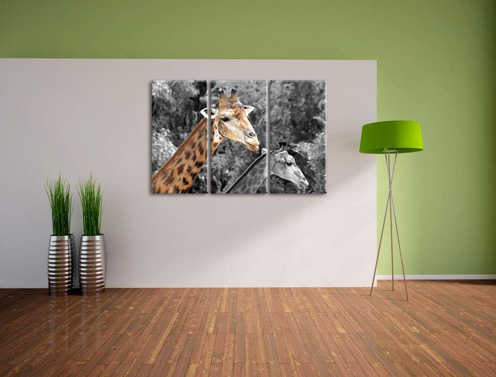zwei schöne Giraffen schwarz/weiss 3-Teiler Leinwandbild 120x80 Bild auf Leinwand, XXL riesige Bilde