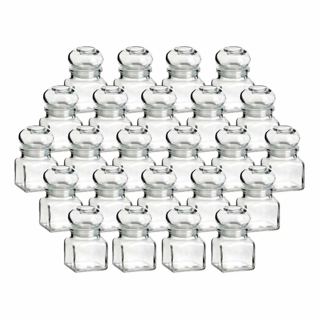 gouveo 24er Set Gewürzgläser 120 ml eckig mit Glaskorken - Kleine Korkengläser mit Glasstopfen - Lee