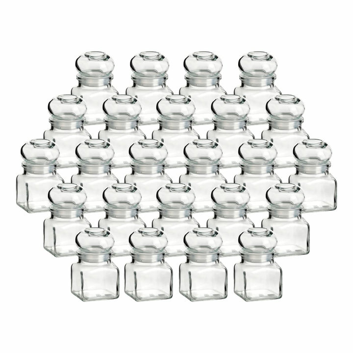 gouveo 24er Set Gewürzgläser 120 ml eckig mit Glaskorken - Kleine Korkengläser mit Glasstopfen - Lee