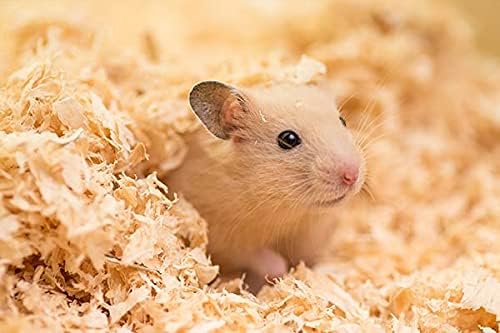 Bubimex Holzspäne – Einstreu für Nagetiere – Kaninchen, Hamster, Meerschweinchen, Mäuse, Meerschwein