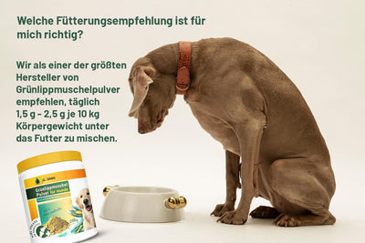 Kräuterland Grünlippmuschelpulver Hund 250g - reines Muschelextrakt - Grünlippmuschel Pulver auch fü